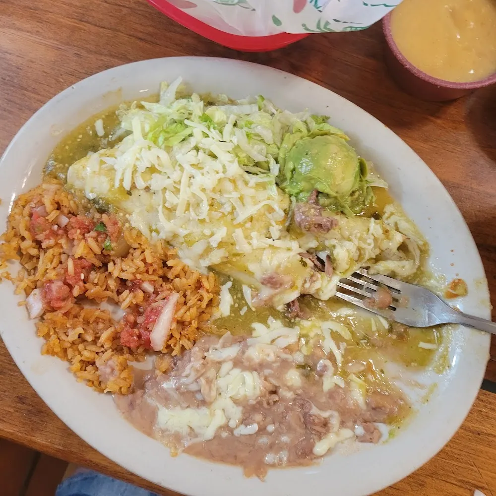 Shredded Beef Burrito with Green Sauce